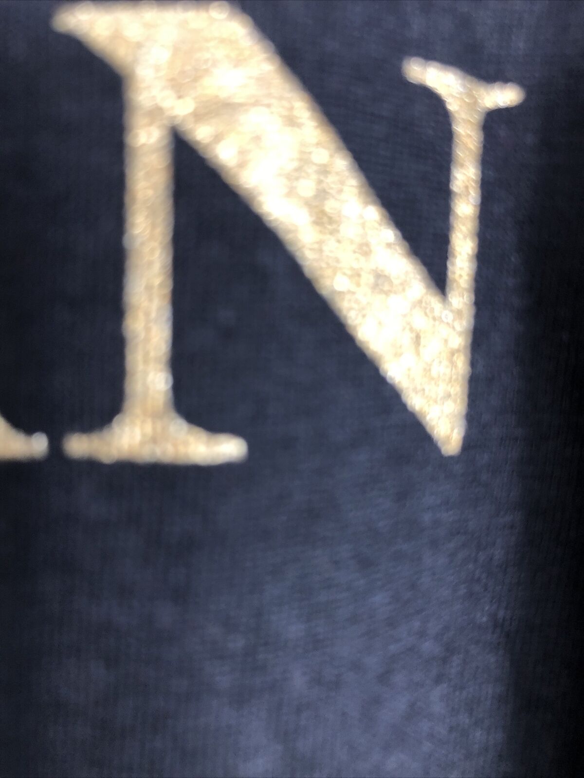 Air Jordan, Mens Size X-LARGE , Gold Lettering Detail