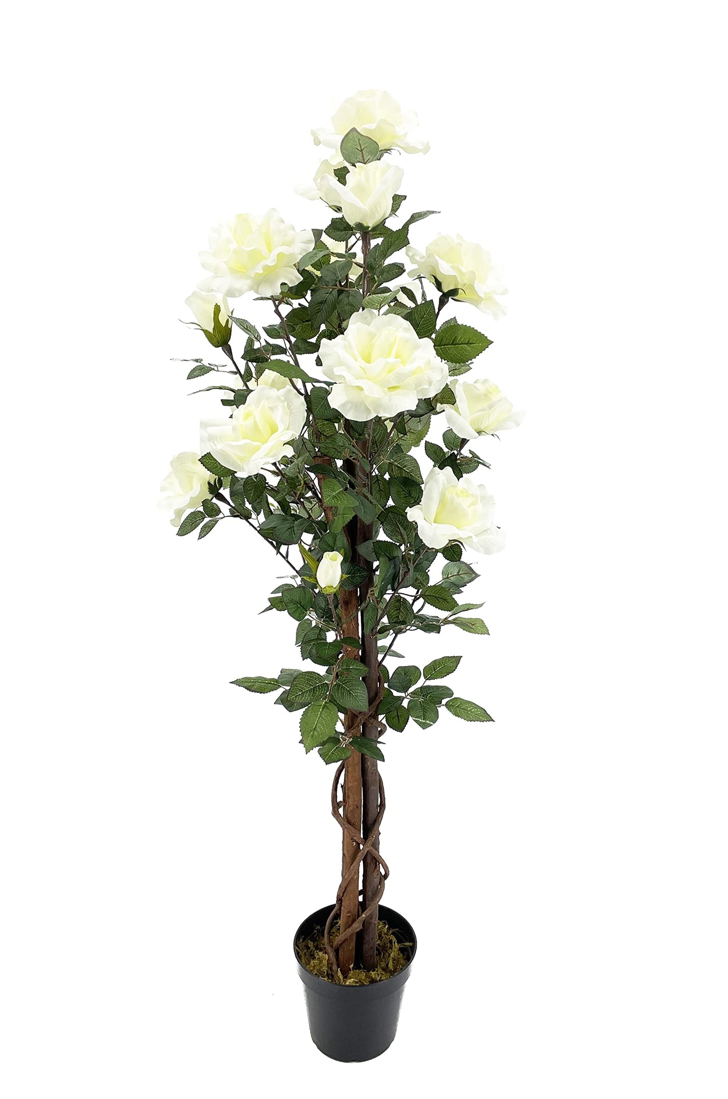 AMERIQUE Pair 4 Feet Gorgeous & Lifelike Artificial Blooming Rose Trees 18 White Rose Flowers, with Nursery Pot, Real Touch Tech.