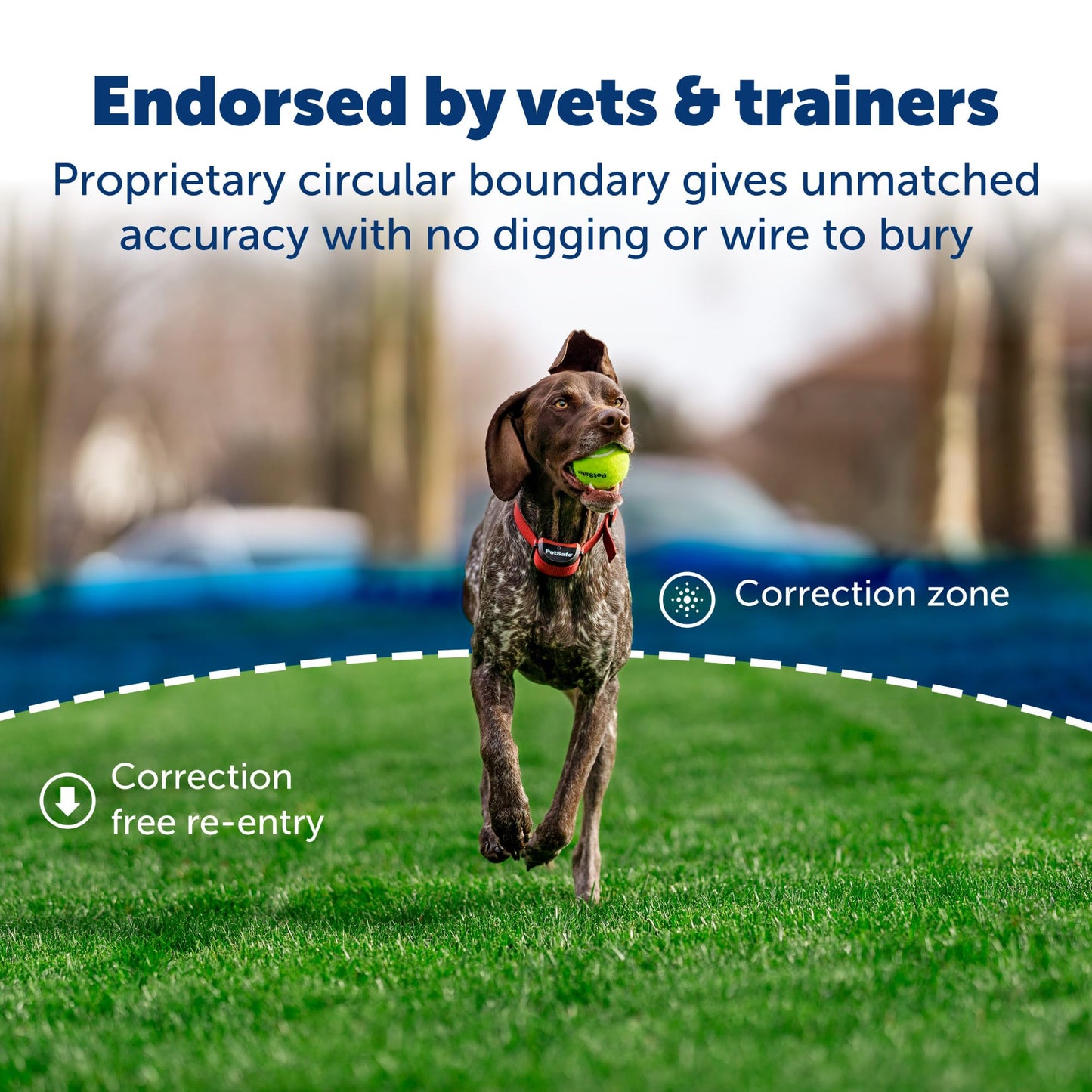 PetSafe Stay & Play Wireless Pet Fence for Stubborn Dogs - No Wire Circular Boundary, Secure 3/4-Acre Yard, For Dogs 5lbs+, America's Safest Wireless Fence From Parent Company INVISIBLE FENCE Brand