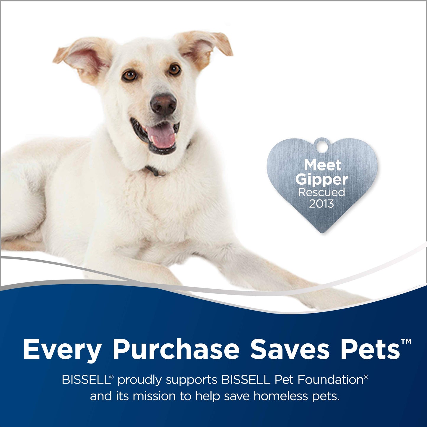 BISSELL CleanView Swivel Pet Upright Bagless Vacuum, Automatic Cord Rewind, Powerful Pet Hair Pickup, Specialized Tools, Large Dirt Tank, Teal