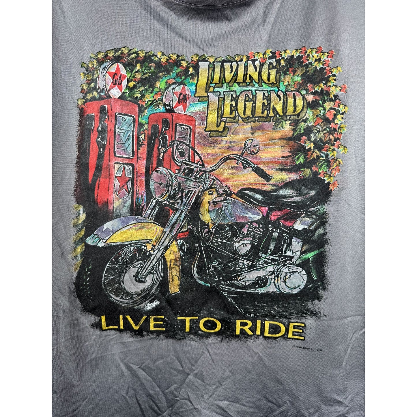 Mens Motorcycle T-Shirt Live to Ride Graphic Tee Living Legend Gray Size M