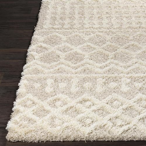 Livabliss Hapsburg Moroccan Shag Area Rug, 7'10" x 10'2, Beige