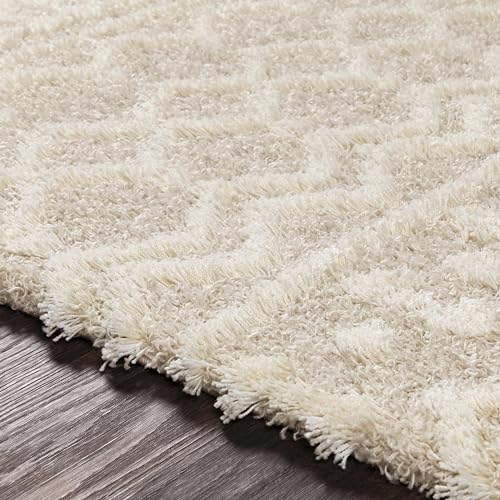 Livabliss Hapsburg Moroccan Shag Area Rug, 7'10" x 10'2, Beige