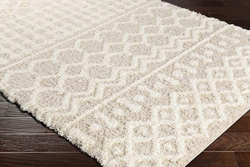 Livabliss Hapsburg Moroccan Shag Area Rug, 7'10" x 10'2, Beige