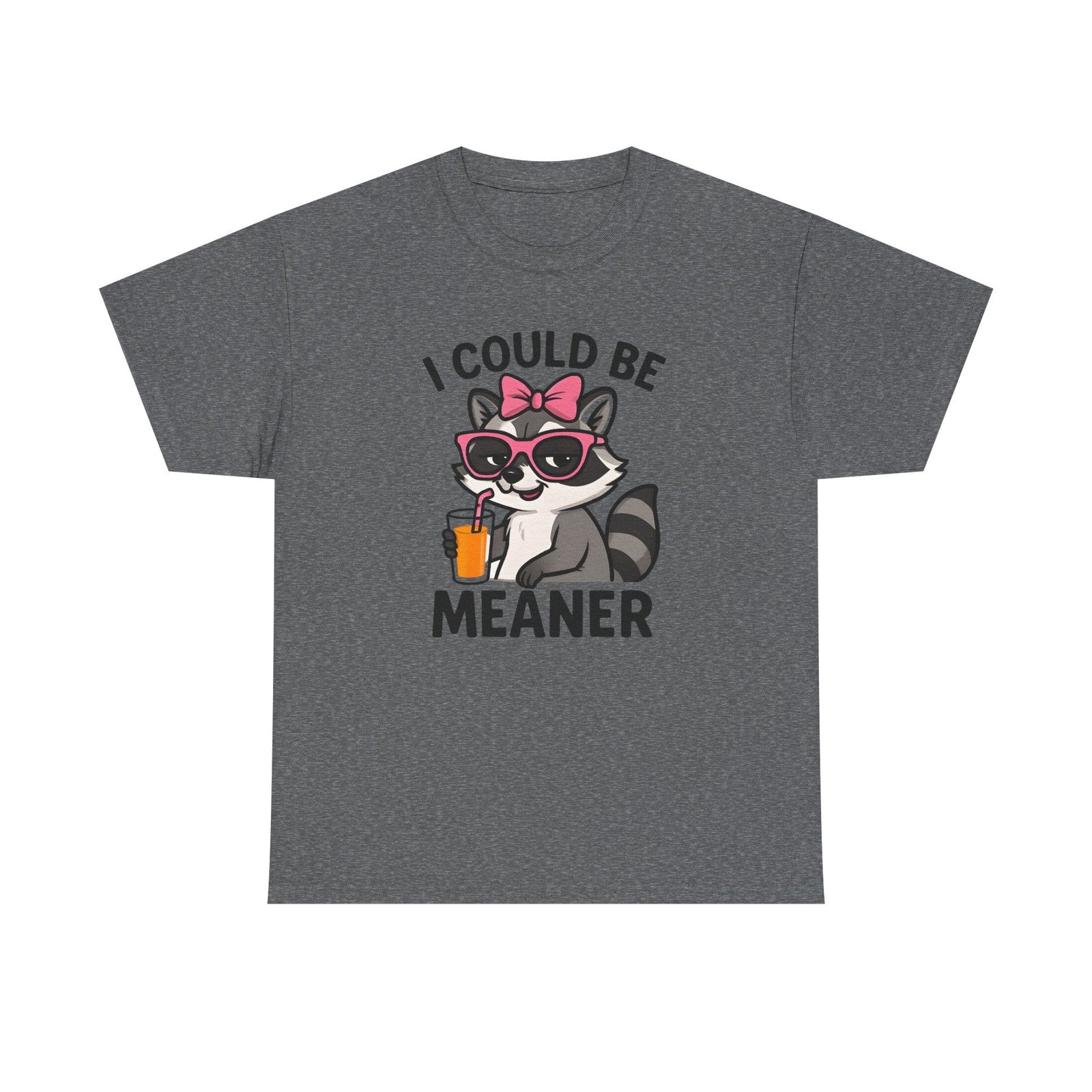 Womans Shirt Cute Raccoon I Could Be Meaner T Shirt, Funny Sarcasm Top All Sizes