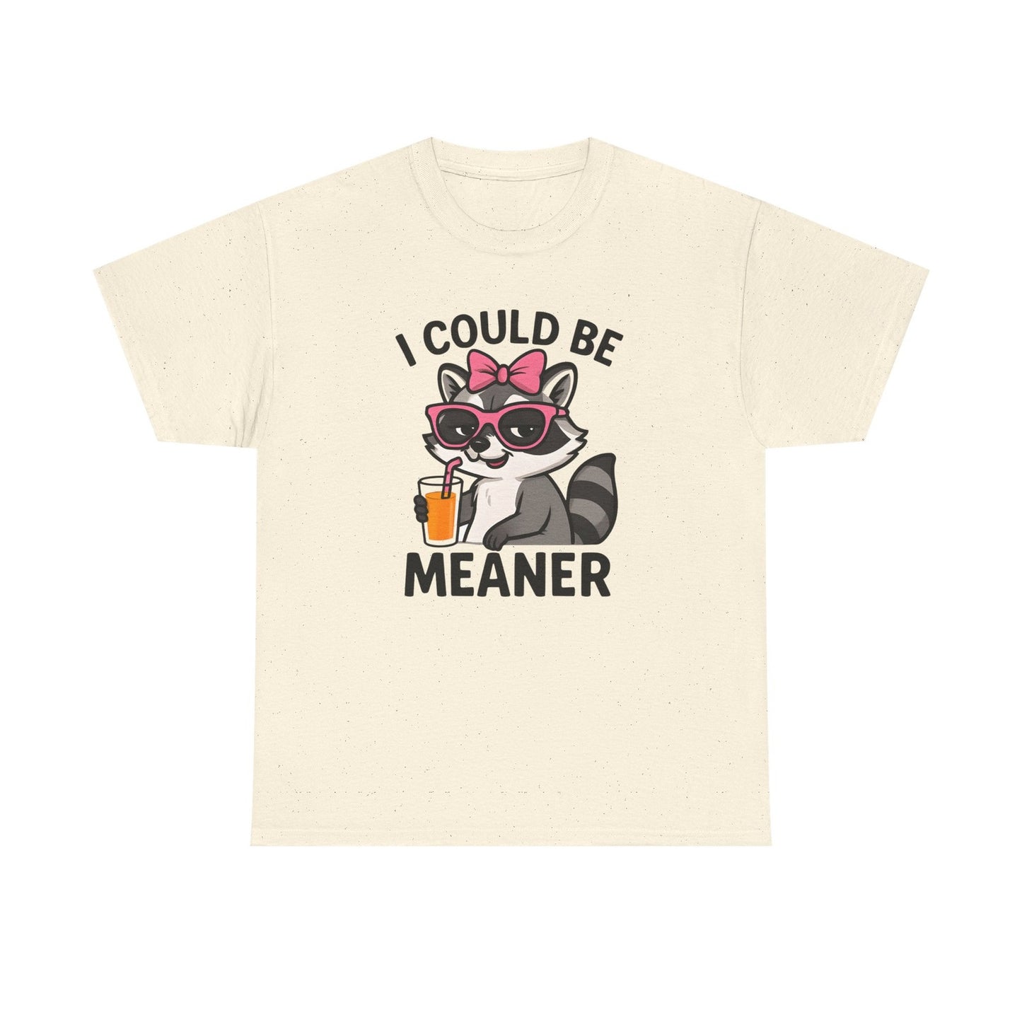 Womans Shirt Cute Raccoon I Could Be Meaner T Shirt, Funny Sarcasm Top All Sizes