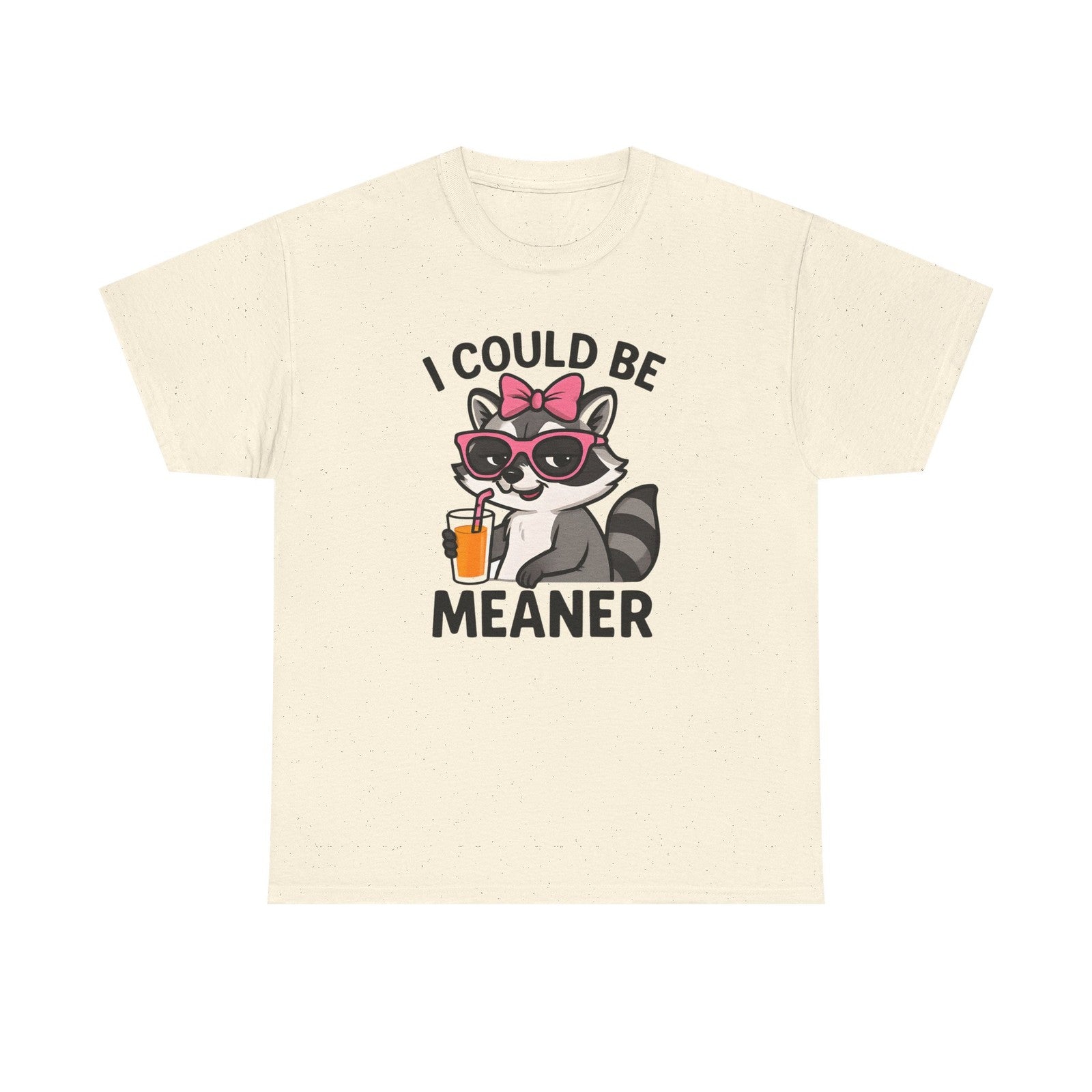 Womans Shirt Cute Raccoon I Could Be Meaner T Shirt, Funny Sarcasm Top All Sizes