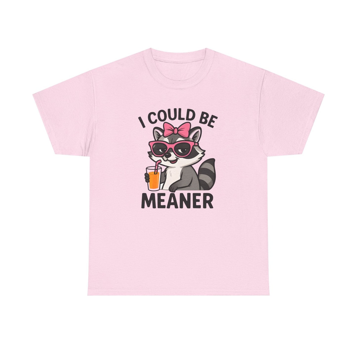 Womans Shirt Cute Raccoon I Could Be Meaner T Shirt, Funny Sarcasm Top All Sizes