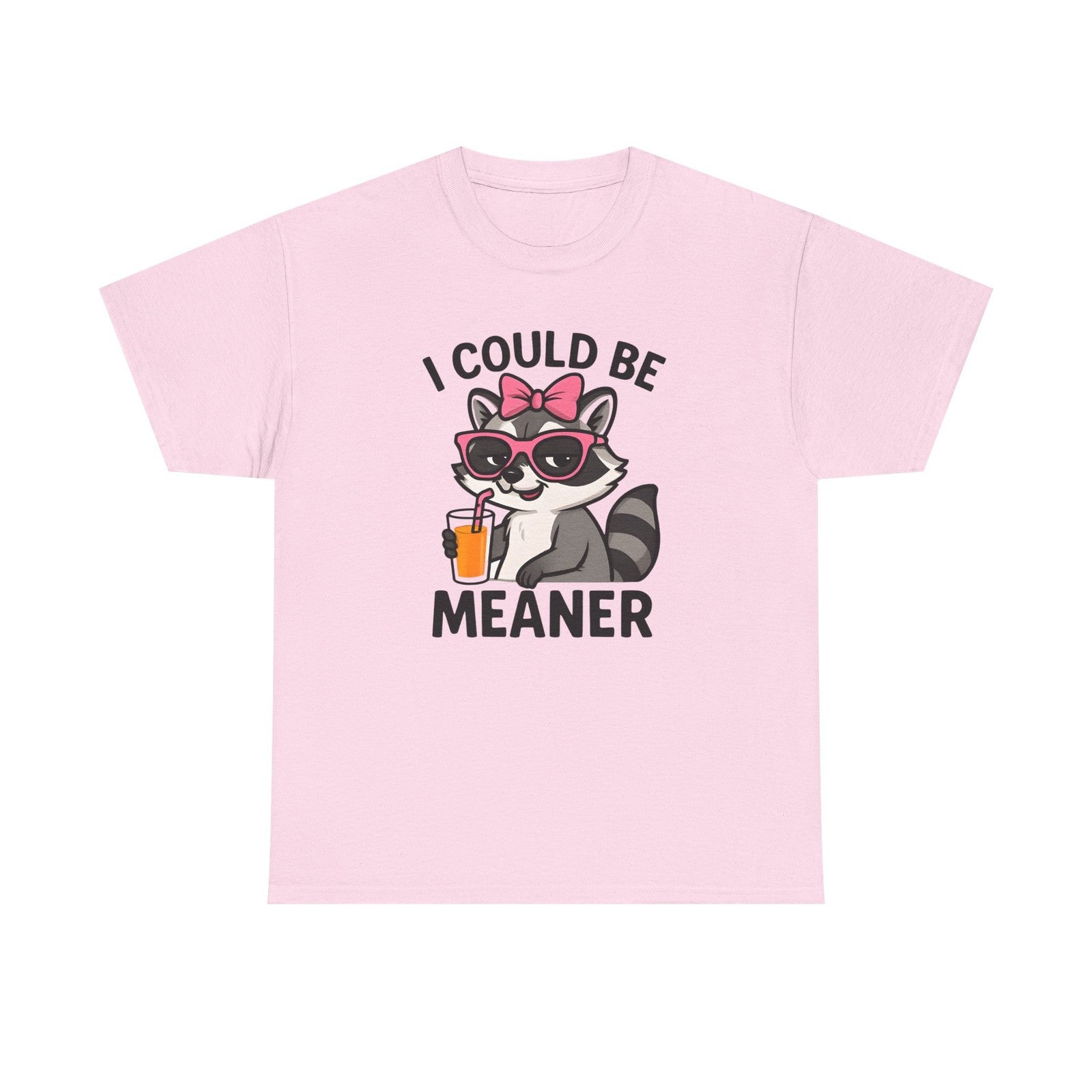 Womans Shirt Cute Raccoon I Could Be Meaner T Shirt, Funny Sarcasm Top All Sizes