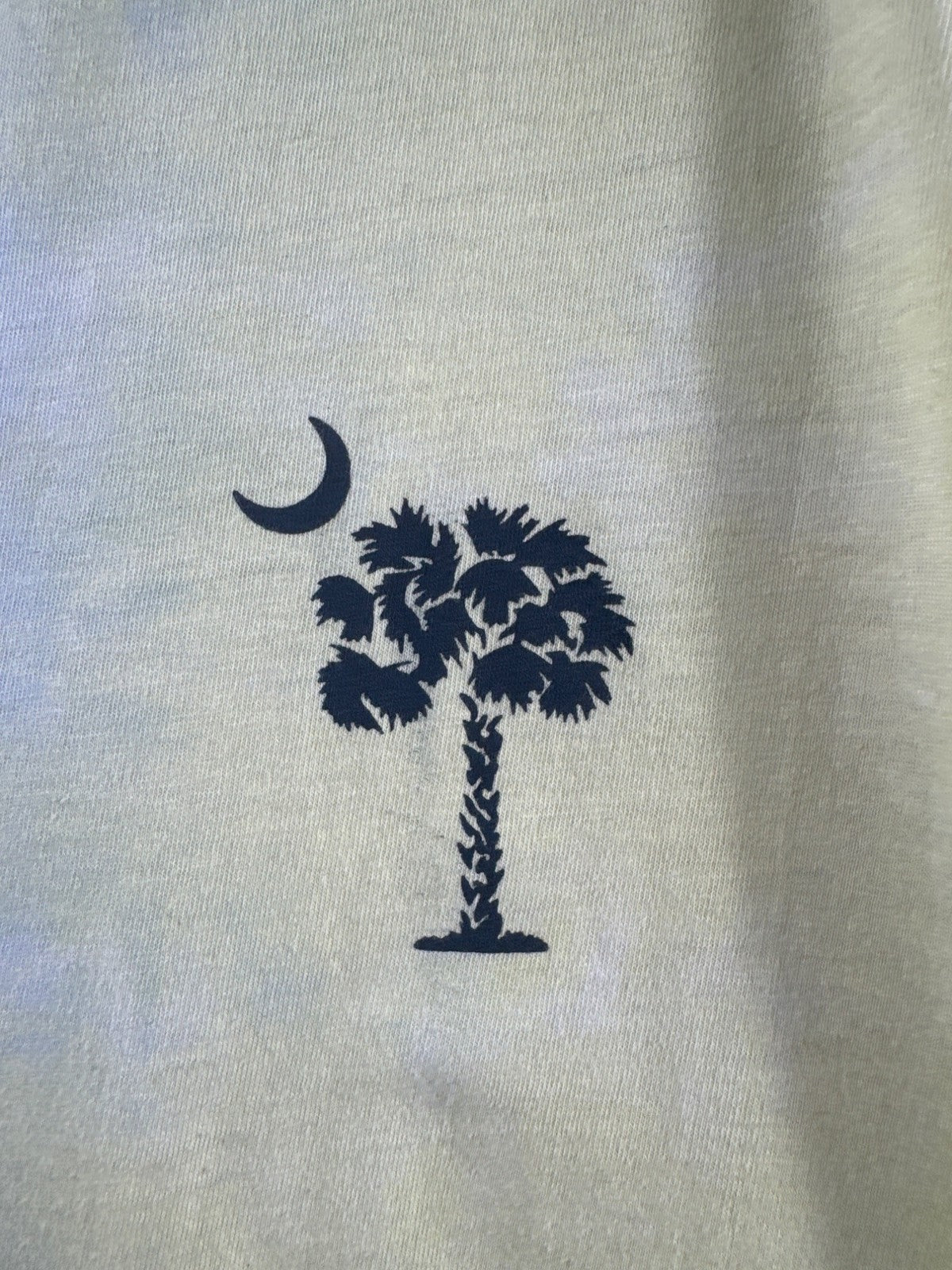 Tie Dye T-Shirt With Moon & Palm Tree Graphic  Short Sleeve