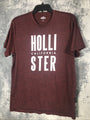 Hollister T Shirt Men Size Adult Large Shirt