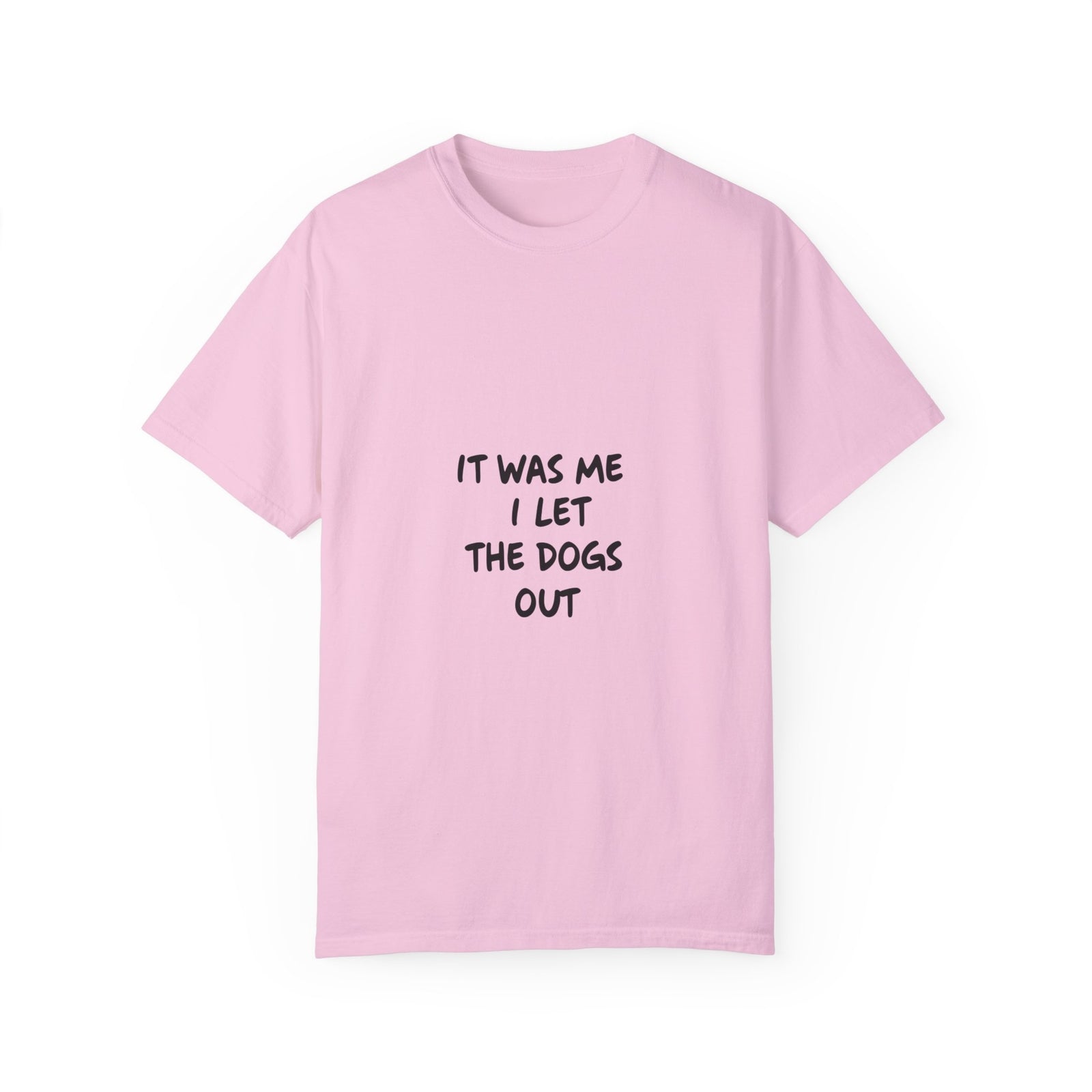 Womans T Shirt Funny Dog Lover Shirt It Was Me Humorous Tee Shirt 