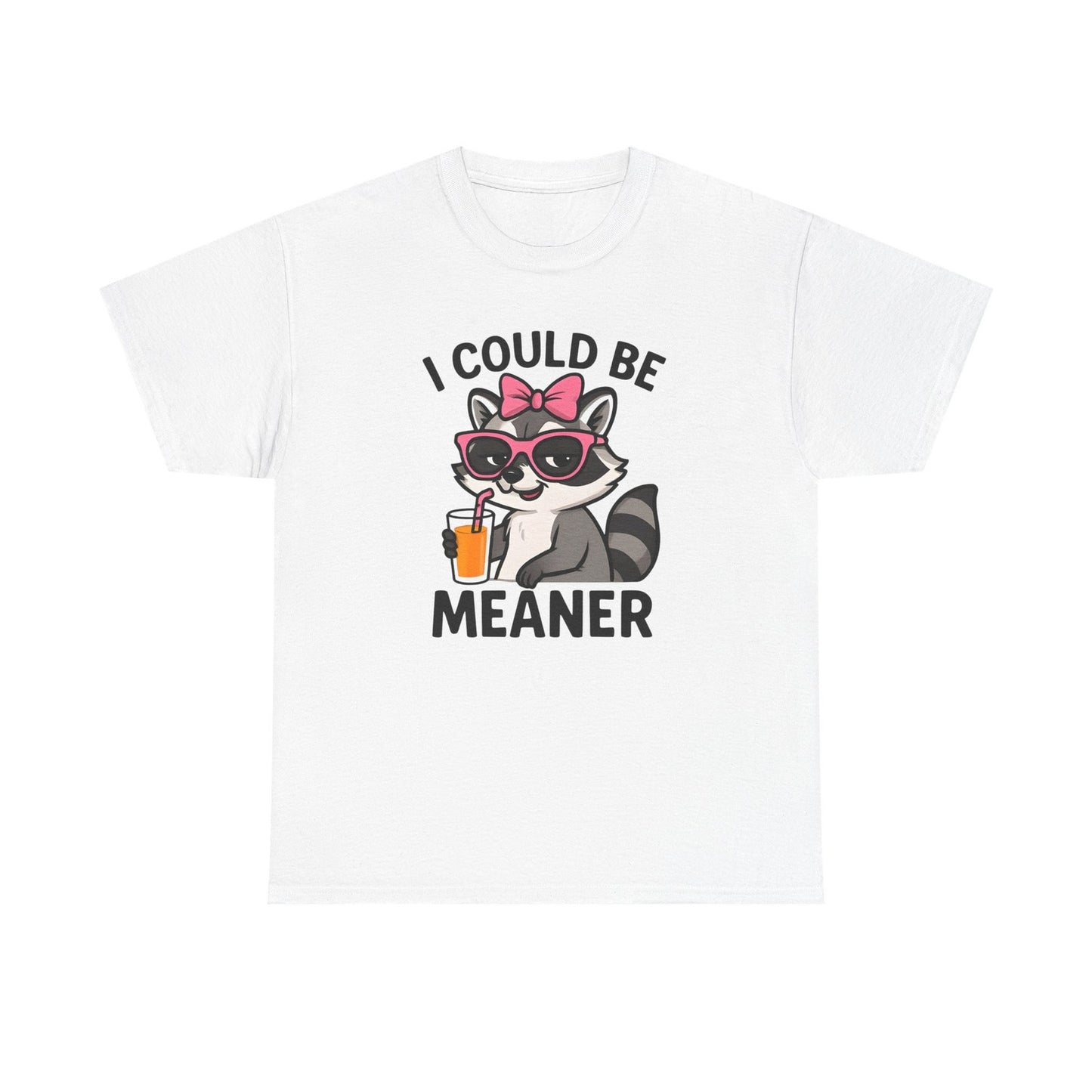 Womans Shirt Cute Raccoon I Could Be Meaner T Shirt, Funny Sarcasm Top All Sizes