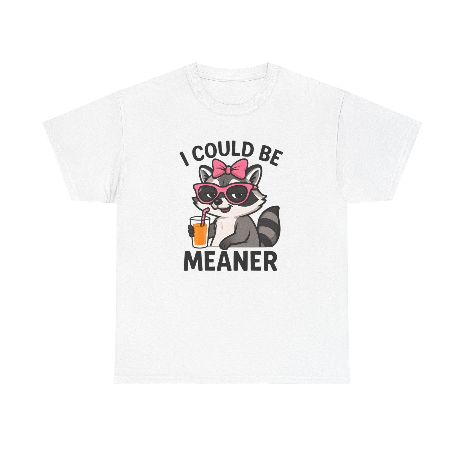 Womans Shirt Cute Raccoon I Could Be Meaner T Shirt, Funny Sarcasm Top All Sizes