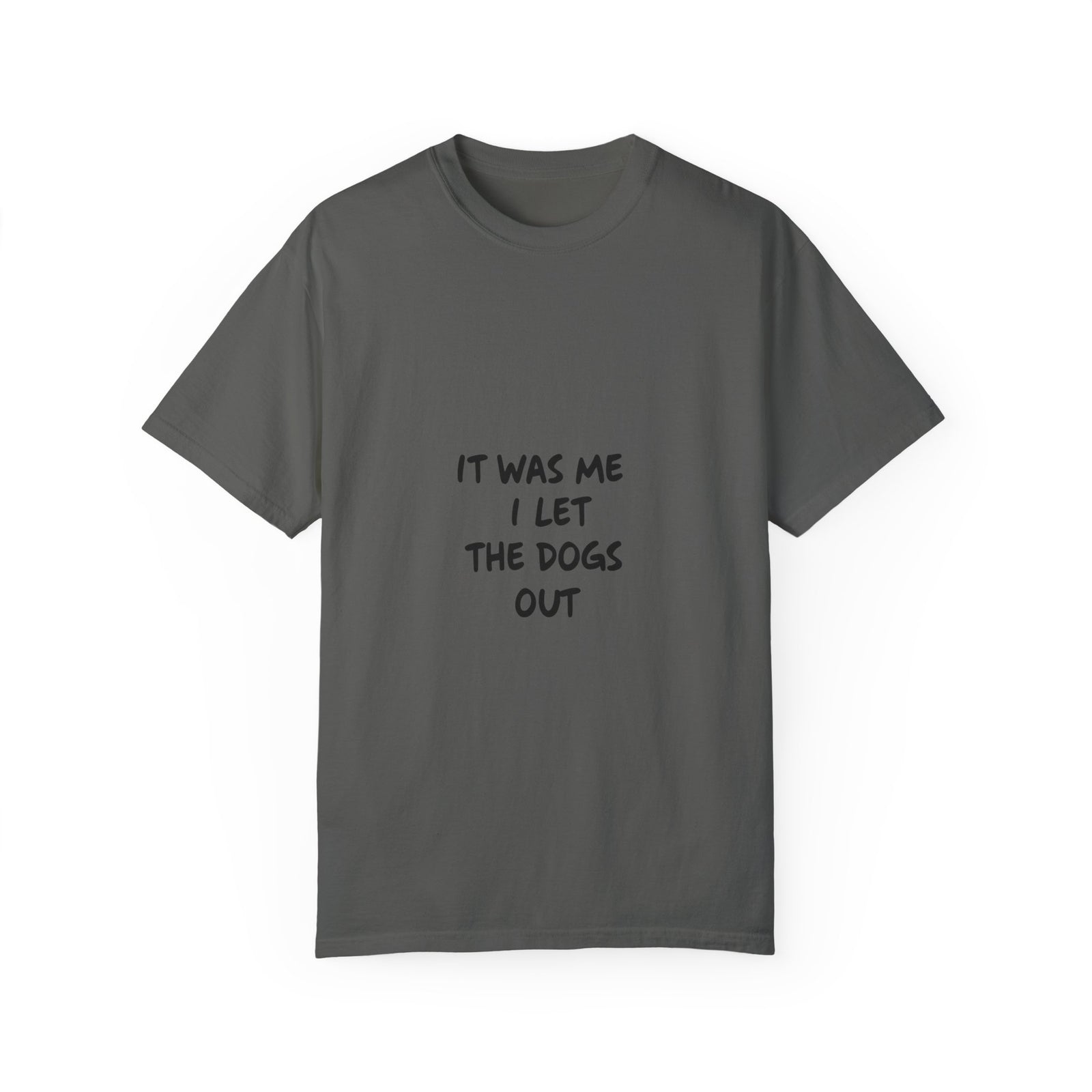 Womans T Shirt Funny Dog Lover Shirt It Was Me Humorous Tee Shirt 