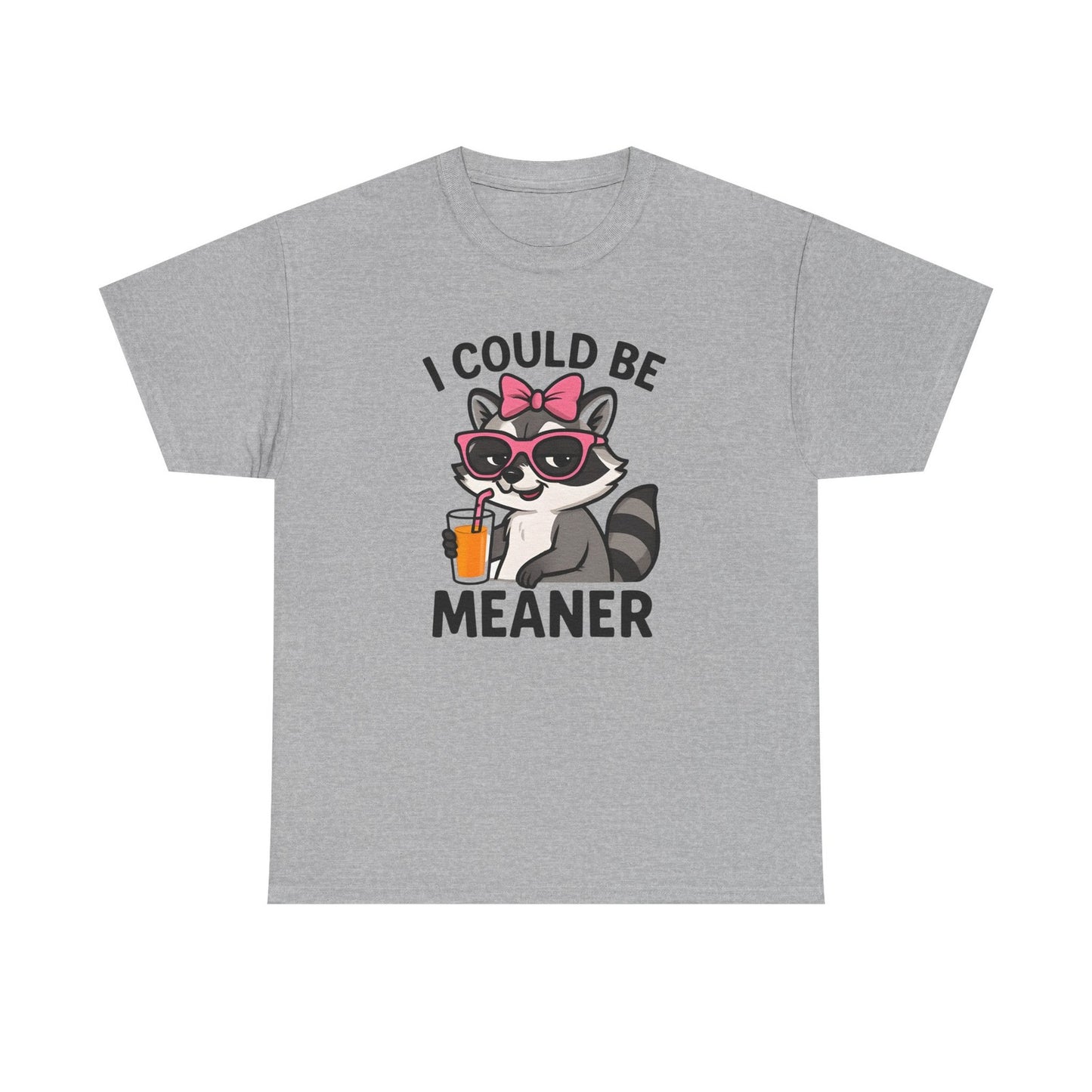 Womans Shirt Cute Raccoon I Could Be Meaner T Shirt, Funny Sarcasm Top All Sizes