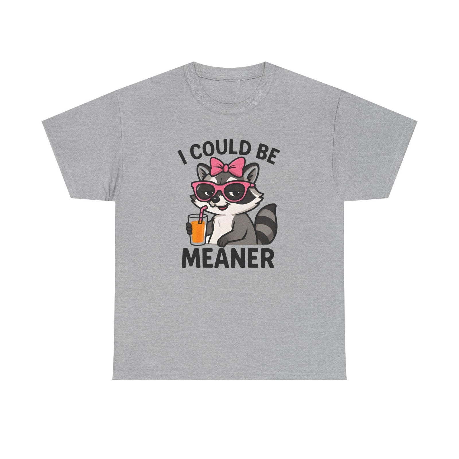 Womans Shirt Cute Raccoon I Could Be Meaner T Shirt, Funny Sarcasm Top All Sizes
