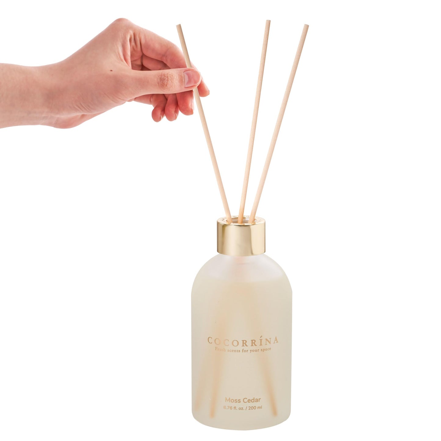 COCORRÍNA Reed Diffuser -Moss Cedar 6.76 oz Flower Reed Diffuser Set with 8 Sticks - Home Fragrance Office Bedroom Bathroom Shelf Decor