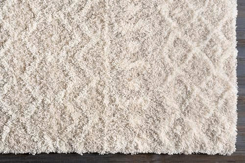 Livabliss Hapsburg Moroccan Shag Area Rug, 7'10" x 10'2, Beige