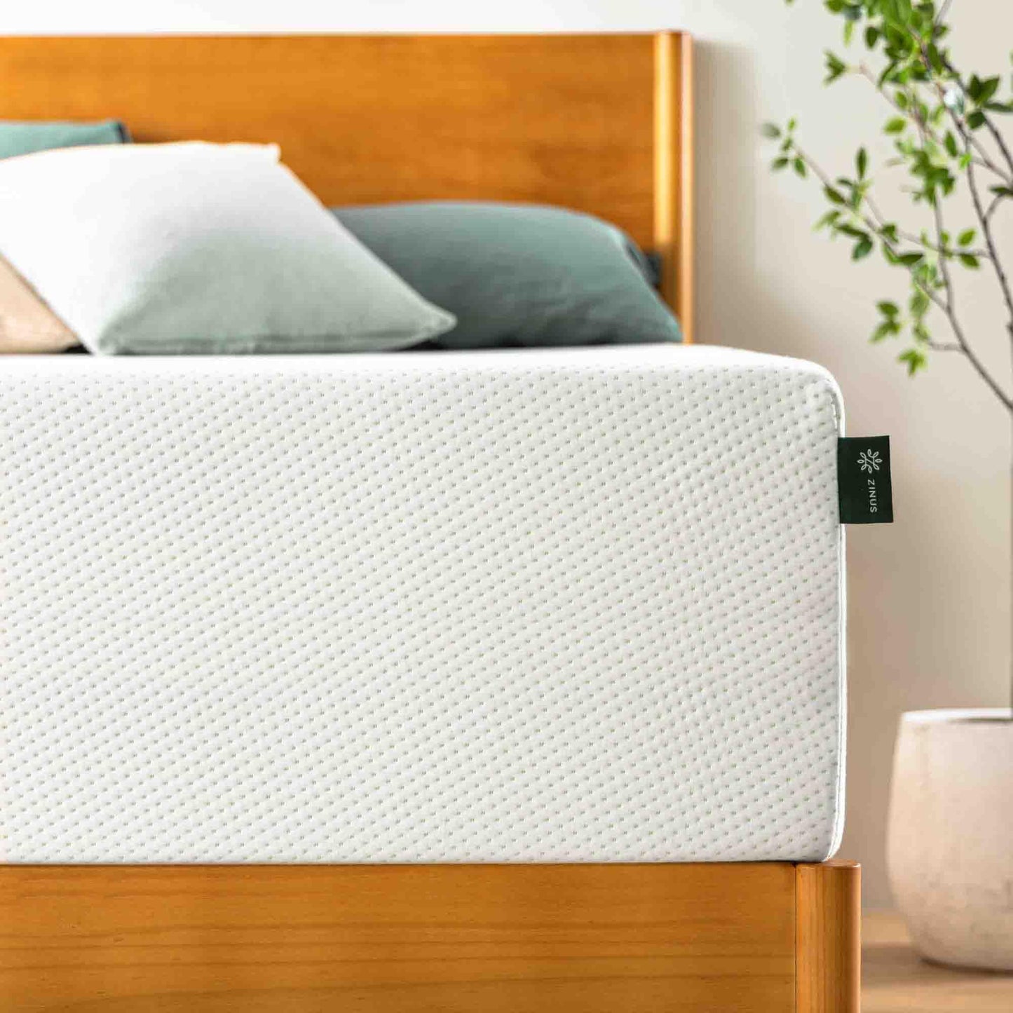 Zinus 14 Inch Queen Green Tea Memory Foam Mattress, Fiberglass Free, Medium Firm Feel, Zoned Pressure Relief, Certified Safe Foams & Fabric, Mattress in A Box