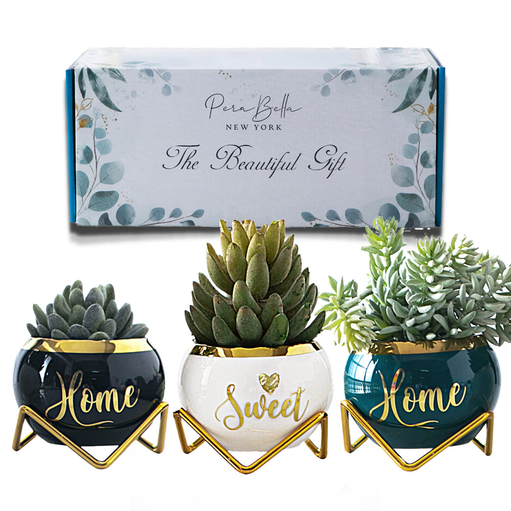 House Warming Gifts New Home -Housewarming Gifts for New House, Best Housewarming Gifts, Home Essentials for New Home Gift Ideas, Living Room Home Decor Farmhouse | 3 Succulent Pots for Plant Lovers
