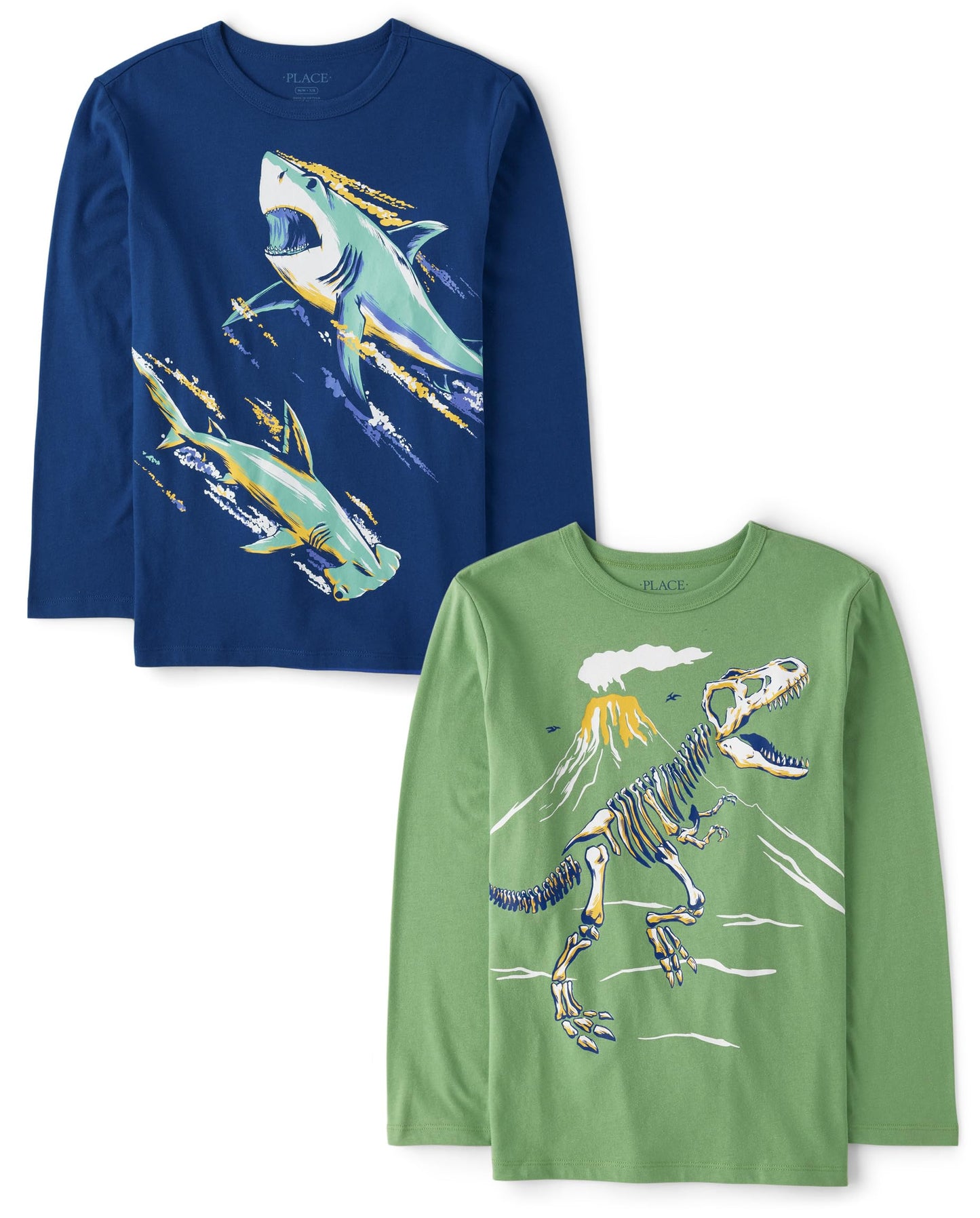 The Children's Place,Long Sleeve Graphic T-Shirt 2-Pack,Greta Green,Medium (7/8)
