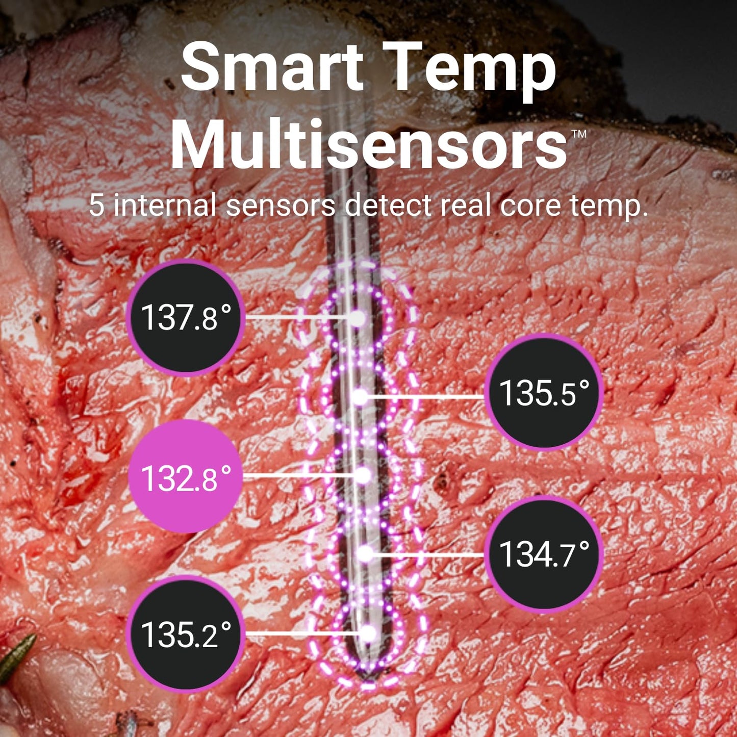 [New] MEATER 2 Plus: Open Flame Grilling 1000°F, Wireless Smart Meat Thermometer, Extra Long Bluetooth Range, 100% Waterproof, Multi Sensors, Lab-Certified Accuracy, for BBQ/Grill/Oven/Air Fryer