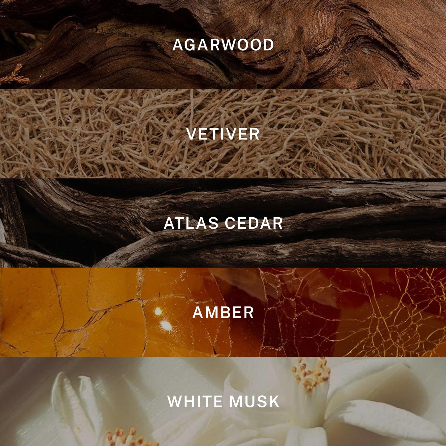 Hotel Lobby Signature Candle – Luxury Hand-Poured 9.75oz Soy Wax with Amber, Cedar, and Musk – Infused with Essential Oils, 65-Hour Burn Time, Reusable Vessel, Clean Burn