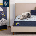 Serta Sleeptrue Firm 11
