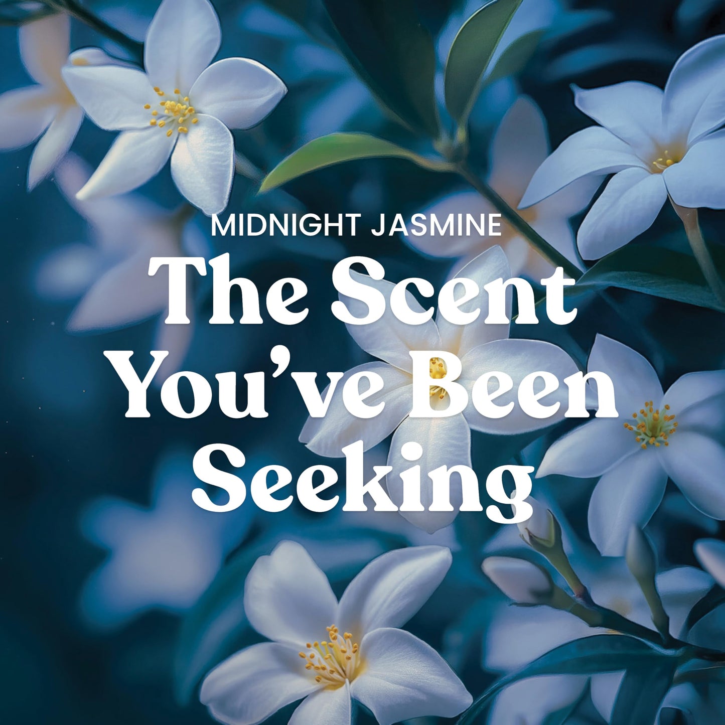 Yankee Candle Midnight Jasmine, Scented Candle, 22oz Large Jar with up to 150 Hour Burn Time, Giftable