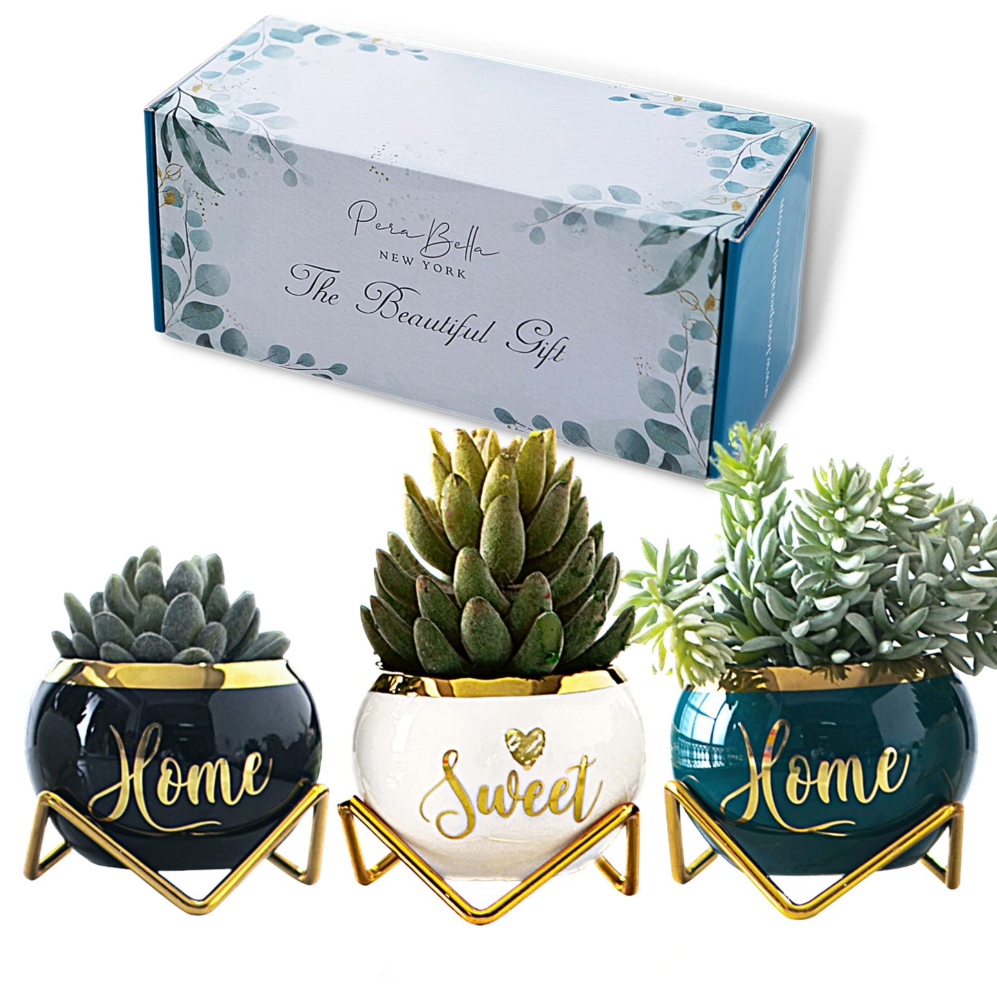 House Warming Gifts New Home -Housewarming Gifts for New House, Best Housewarming Gifts, Home Essentials for New Home Gift Ideas, Living Room Home Decor Farmhouse | 3 Succulent Pots for Plant Lovers