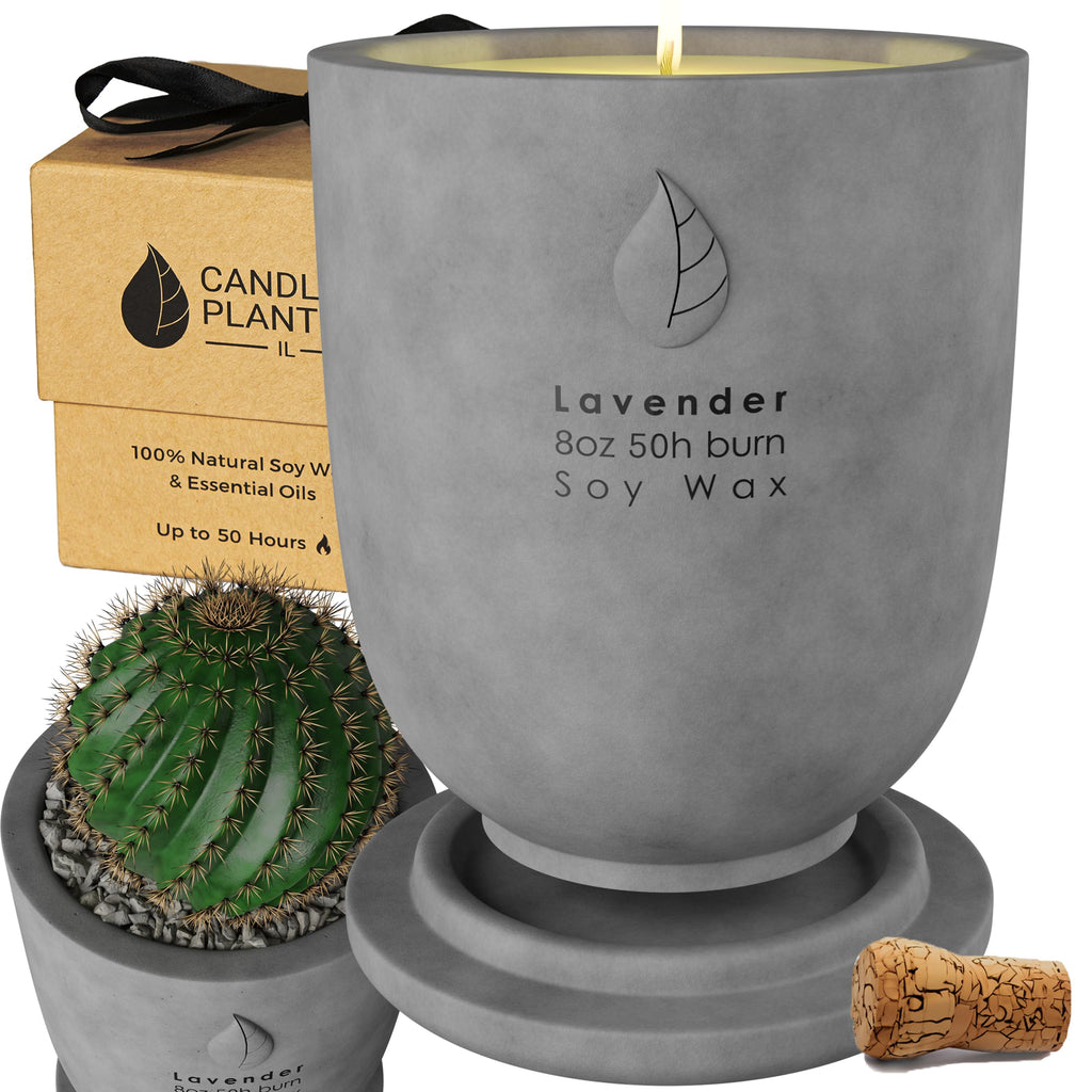 CandlePlanter Concrete Cement Candle Planter - Candles for Home Scented, Soy Candles - Scented Candle & Dual Purpose Jar Candles, Strong Scented Candles - 8 Oz, 50-Hour Burn (Grey Lavender)