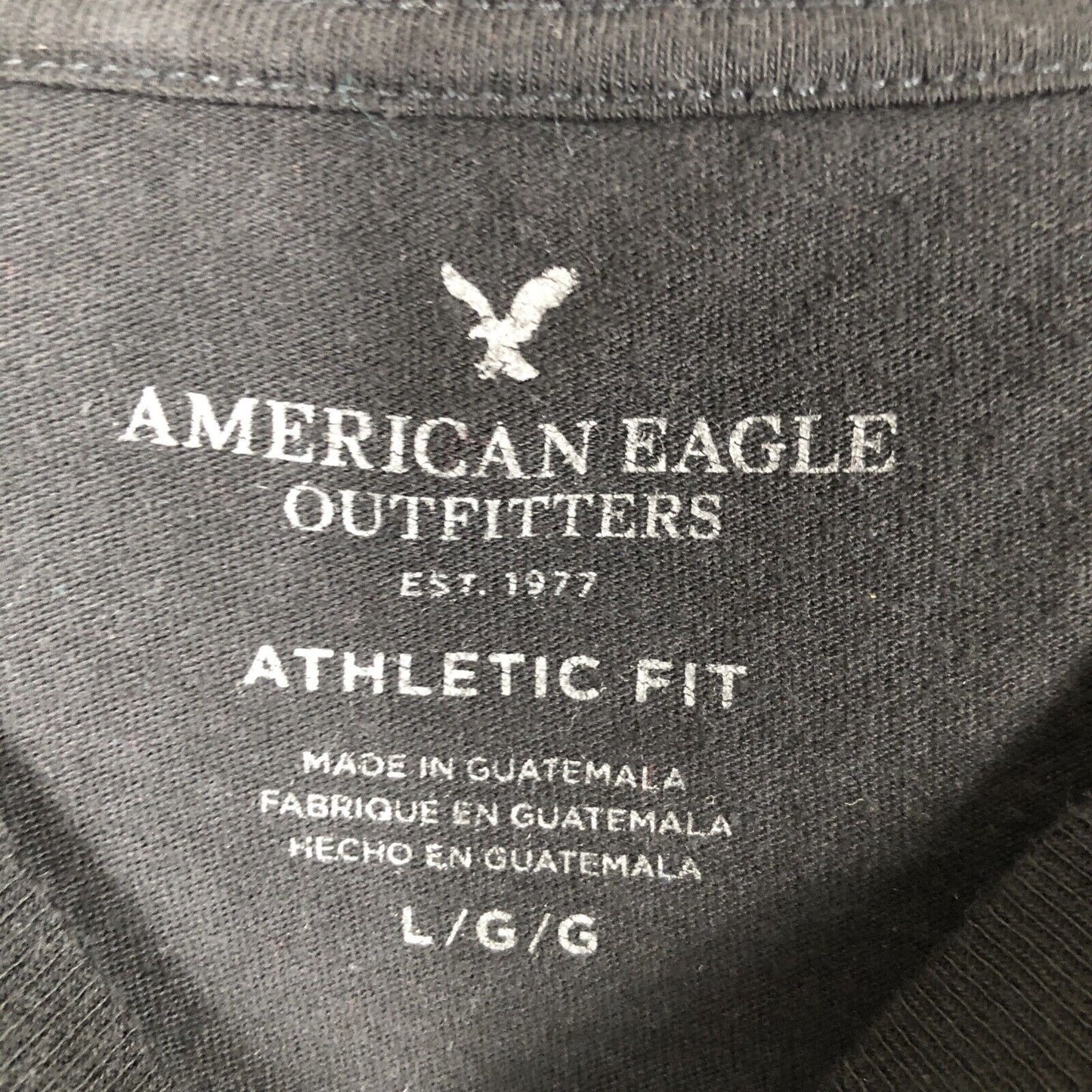 American Eagle  Mens Size L  Athletic Fit