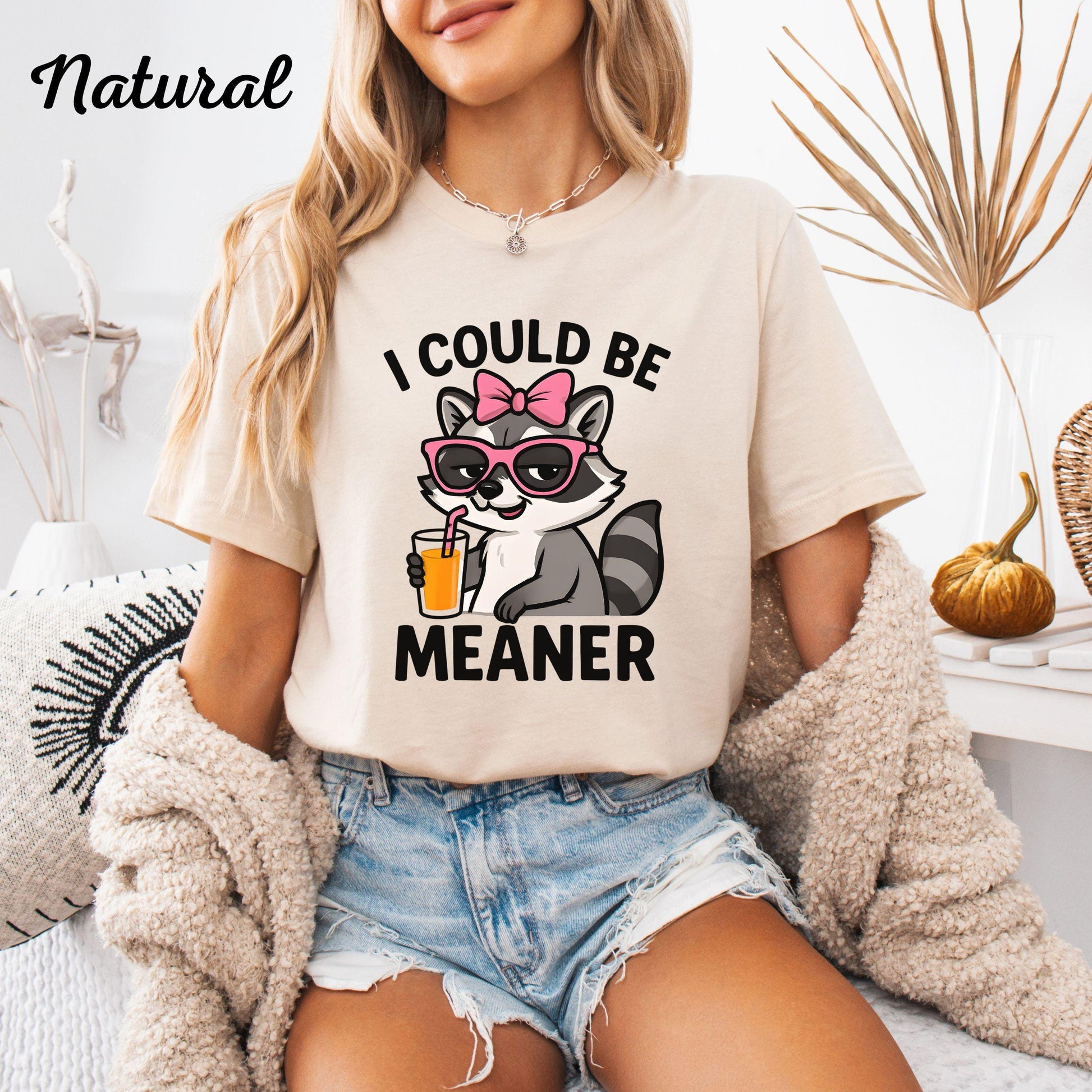 Cute Raccoon I Could Be Meaner Shirt, Funny Humor Shirt, Sarcastic Shirt, Funny Quote Shirt, Sarcasm Shirt, Trendy Shirt for Women