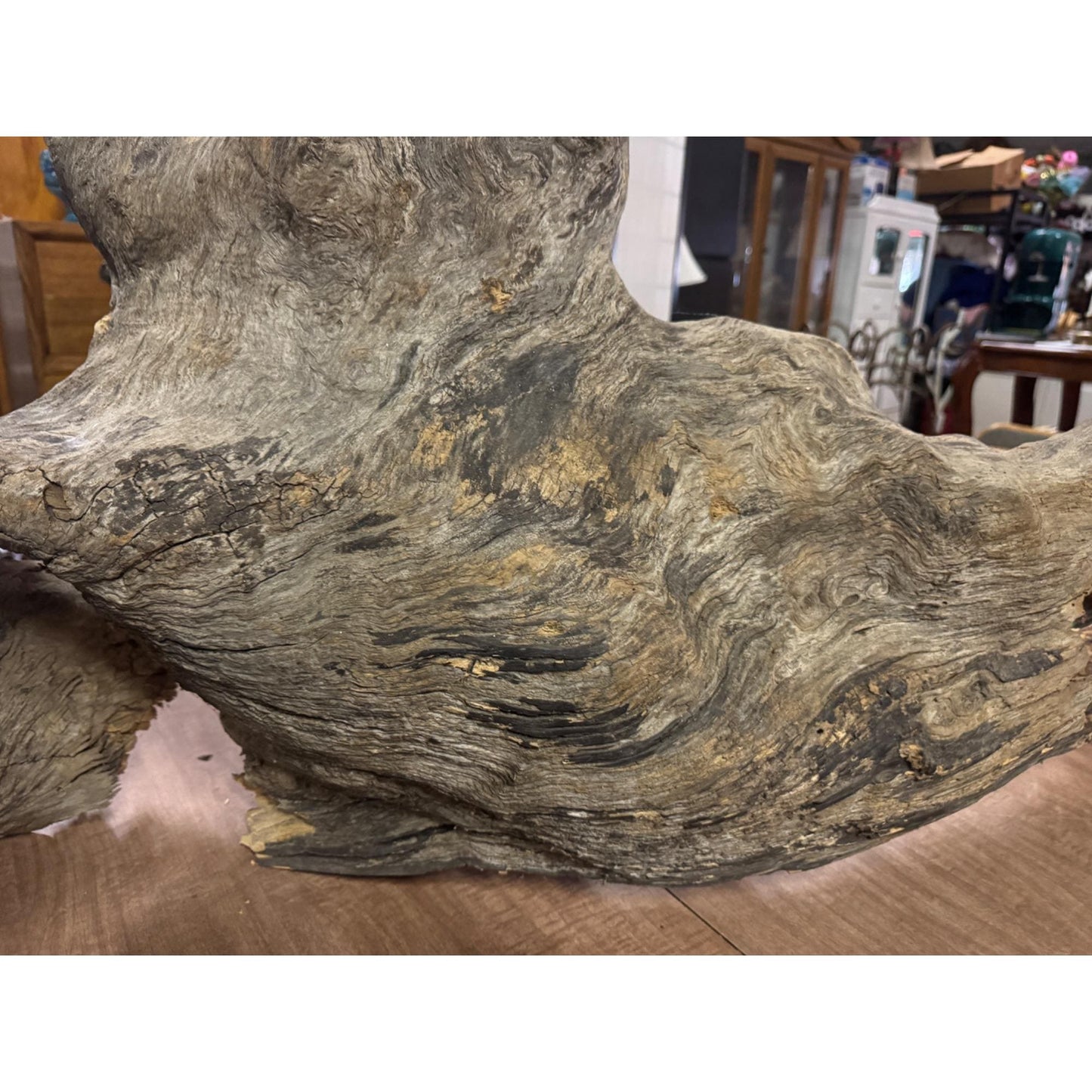 Rare Large Natural Driftwood Sculpture Rustic Organic Wood Art for Home & Garden