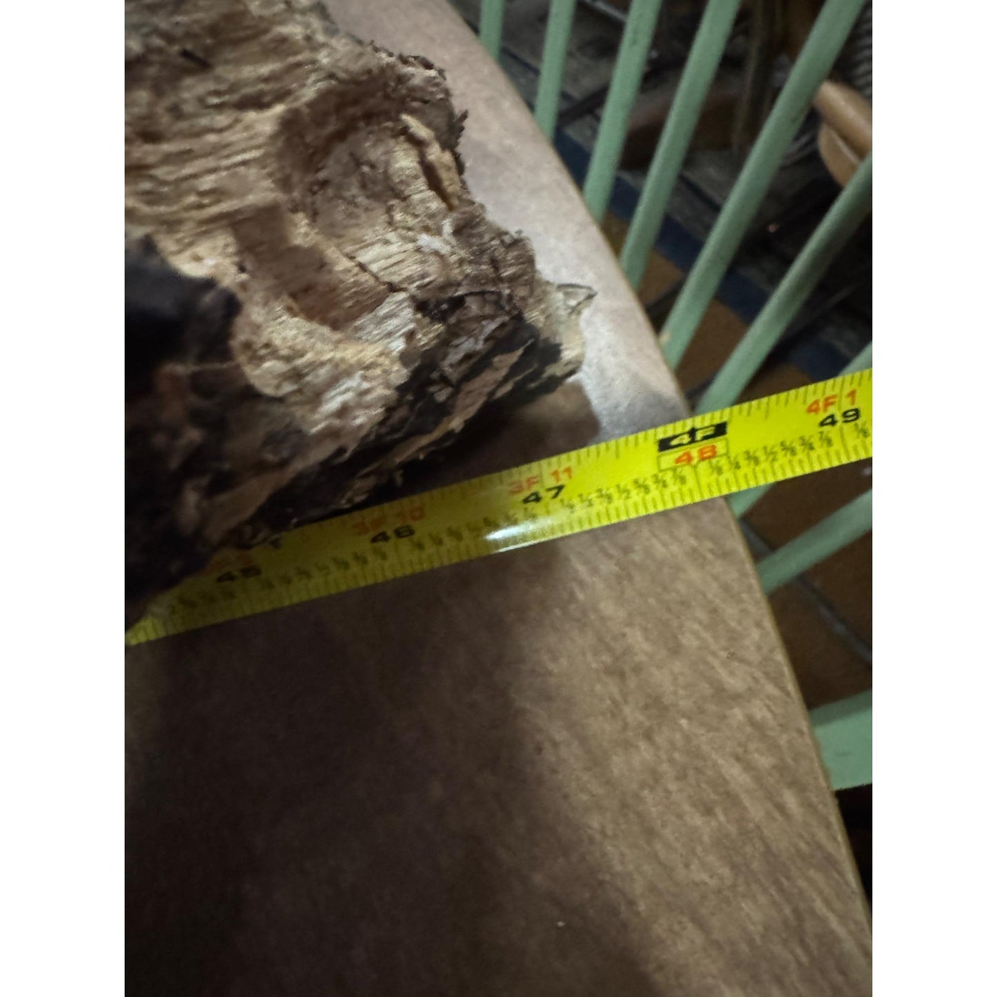 Rare Large Natural Driftwood Sculpture Rustic Organic Wood Art for Home & Garden
