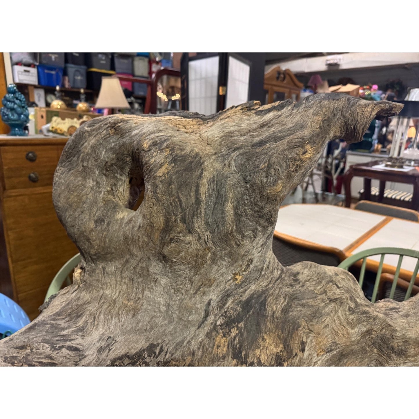 Rare Large Natural Driftwood Sculpture Rustic Organic Wood Art for Home & Garden
