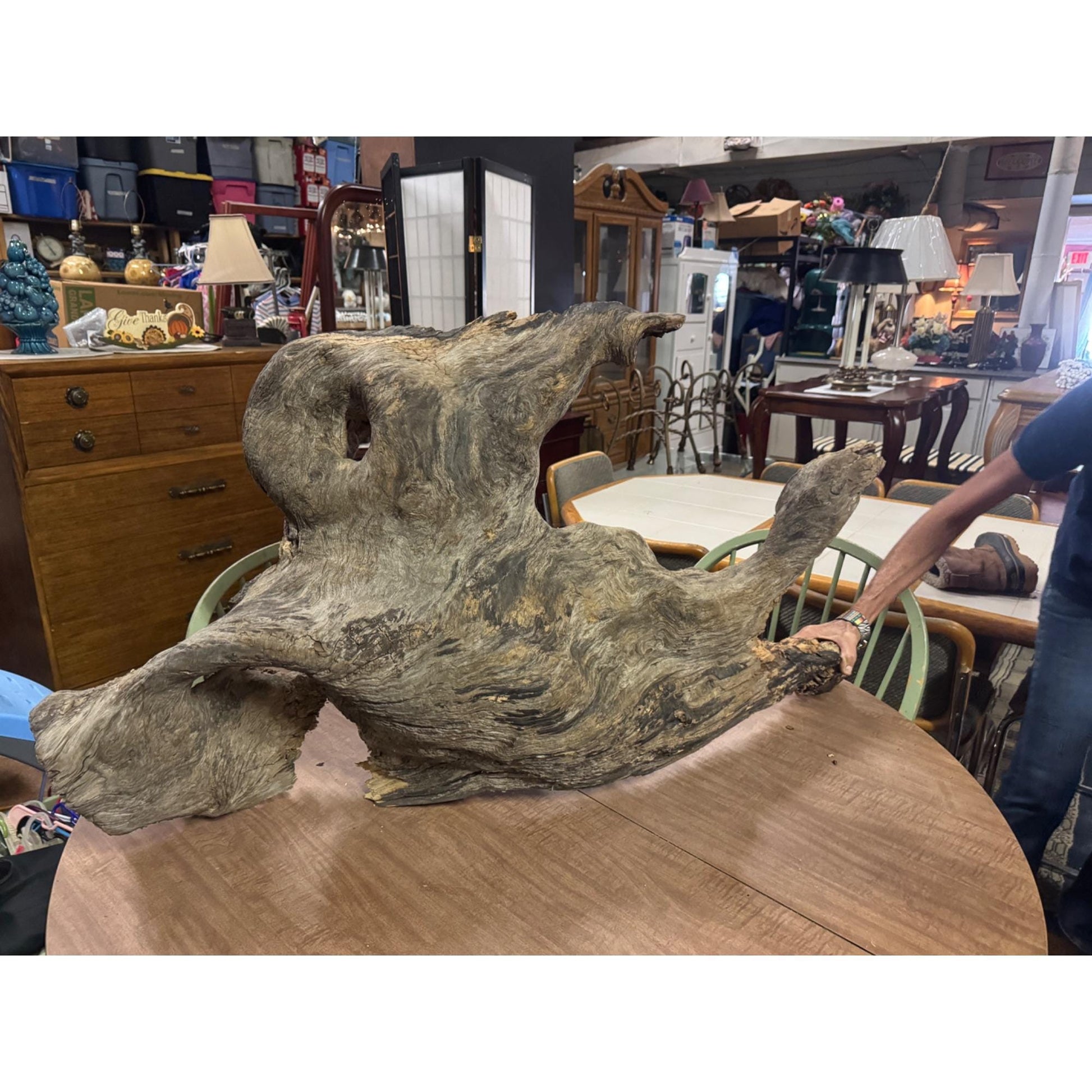 Rare Large Natural Driftwood Sculpture Rustic Organic Wood Art for Home & Garden