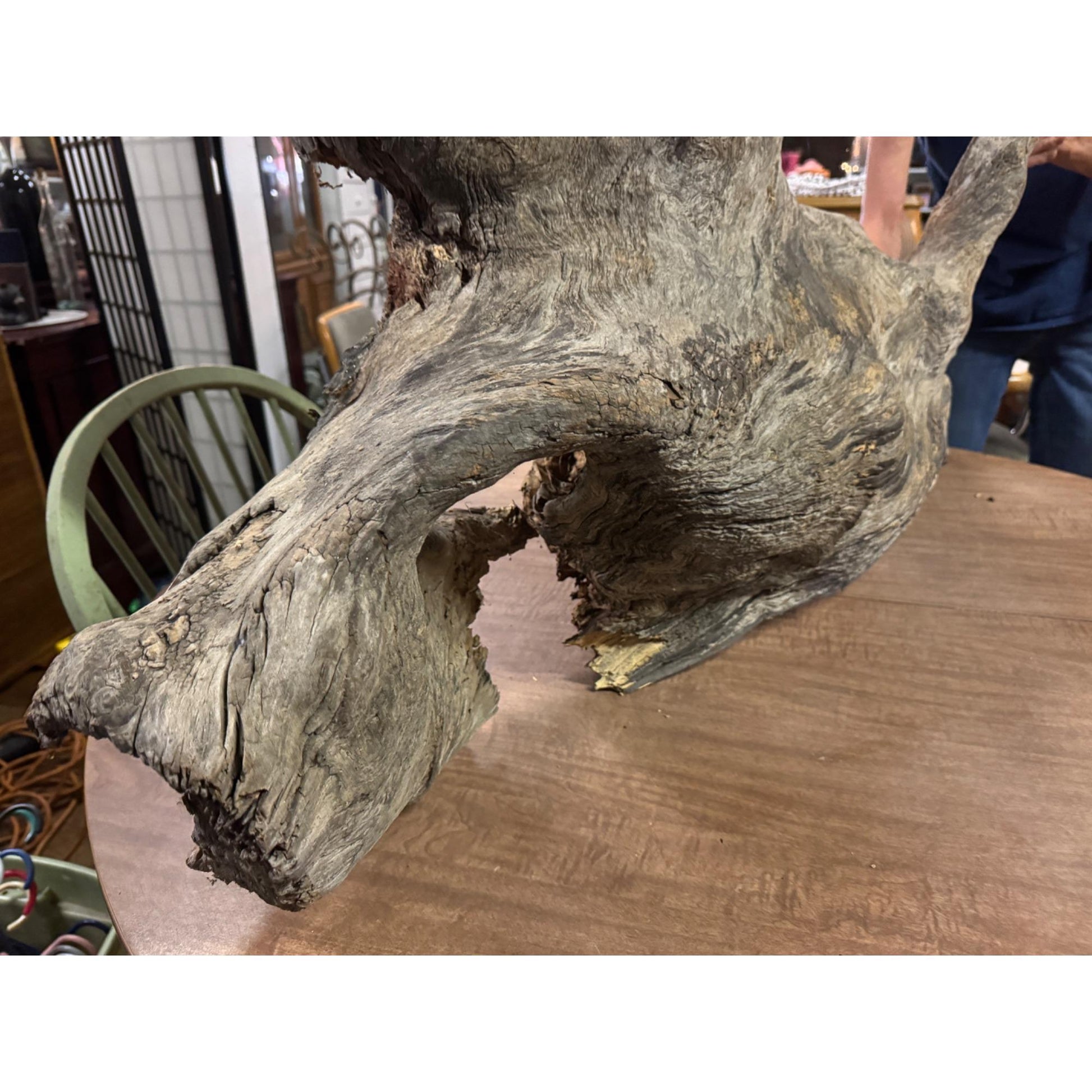 Rare Large Natural Driftwood Sculpture Rustic Organic Wood Art for Home & Garden