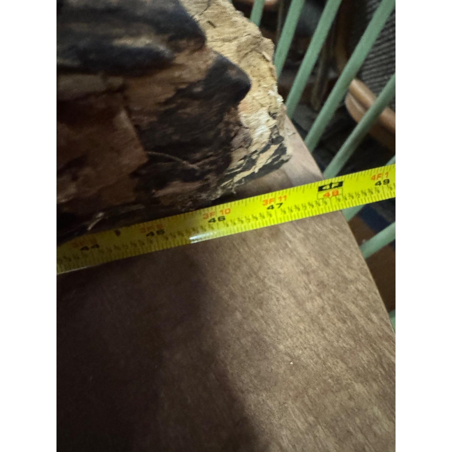 Rare Large Natural Driftwood Sculpture Rustic Organic Wood Art for Home & Garden