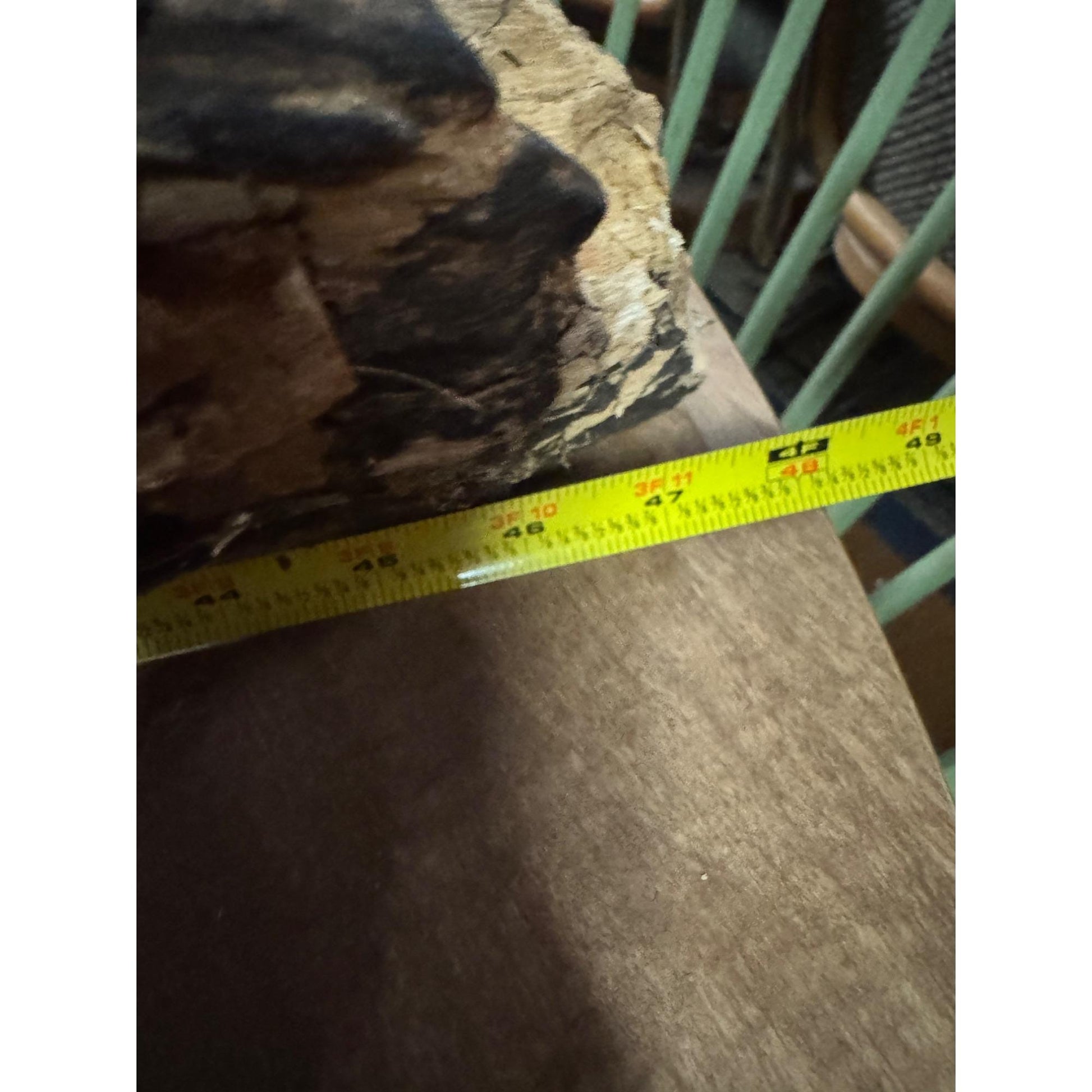 Rare Large Natural Driftwood Sculpture Rustic Organic Wood Art for Home & Garden