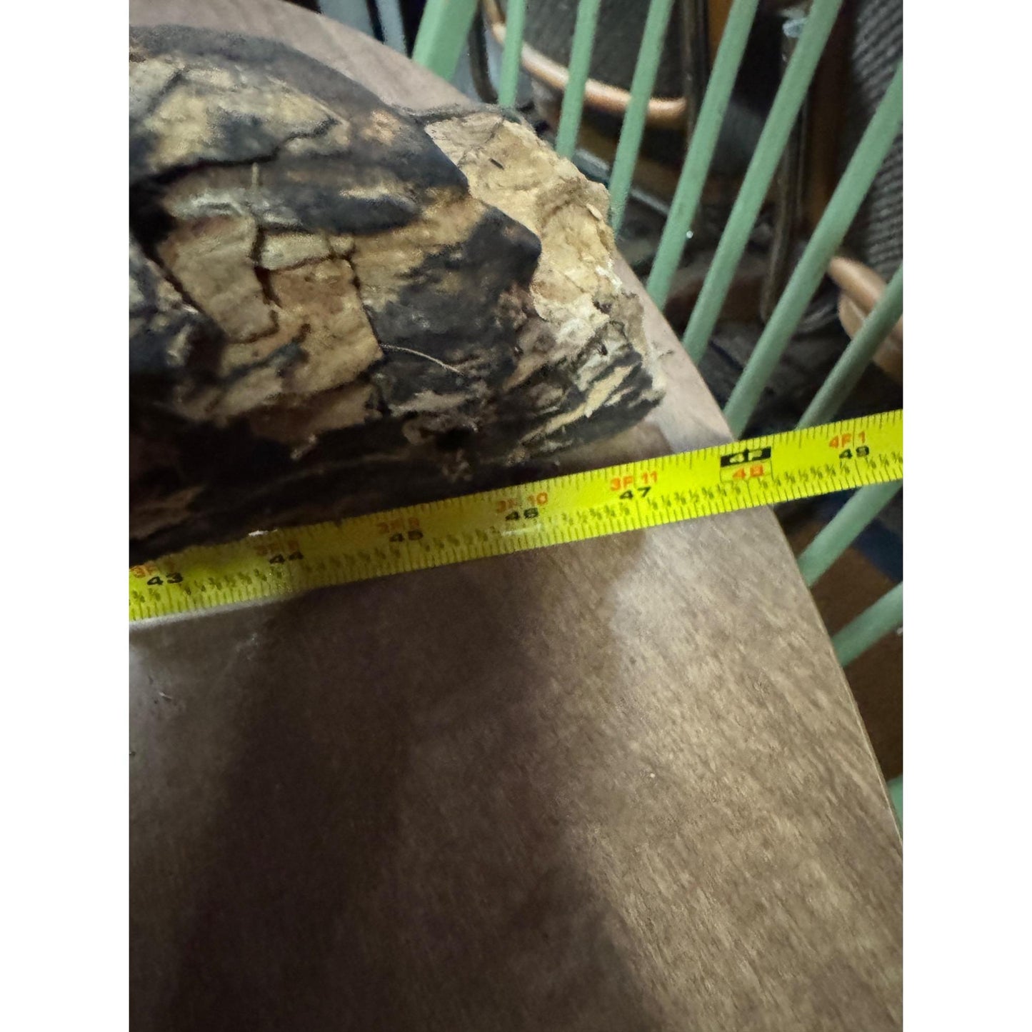 Rare Large Natural Driftwood Sculpture Rustic Organic Wood Art for Home & Garden