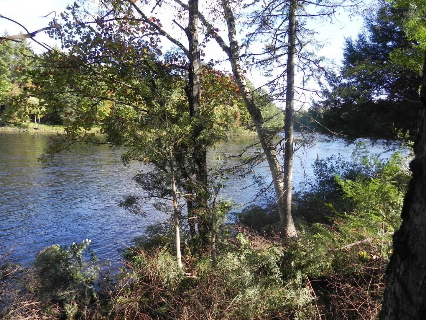 $59,900 Maine water front 8.4 acres, land river, timber Owner financing