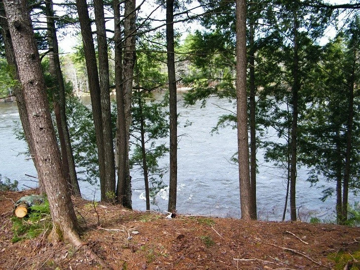 $59,900 Maine water front 8.4 acres, land river, timber Owner financing