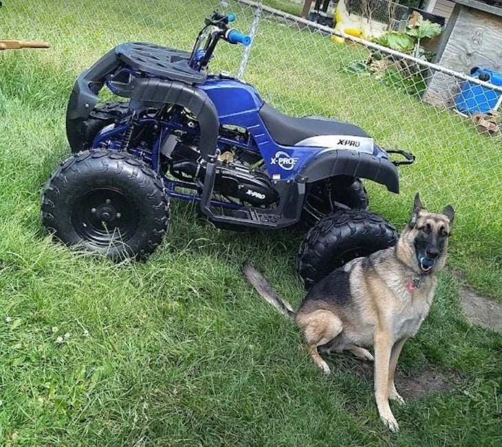 X-PRO Jaguar 200 Utility ATV Quad 4 rodas com transmissão automática e reversa-