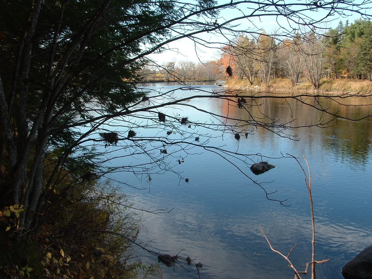 $59,900 Maine water front 8.4 acres, land river, timber Owner financing