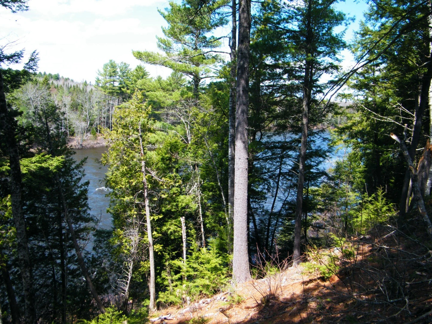 $59,900 Maine water front 8.4 acres, land river, timber Owner financing