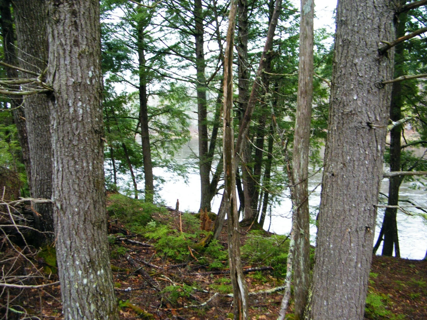 $59,900 Maine water front 8.4 acres, land river, timber Owner financing