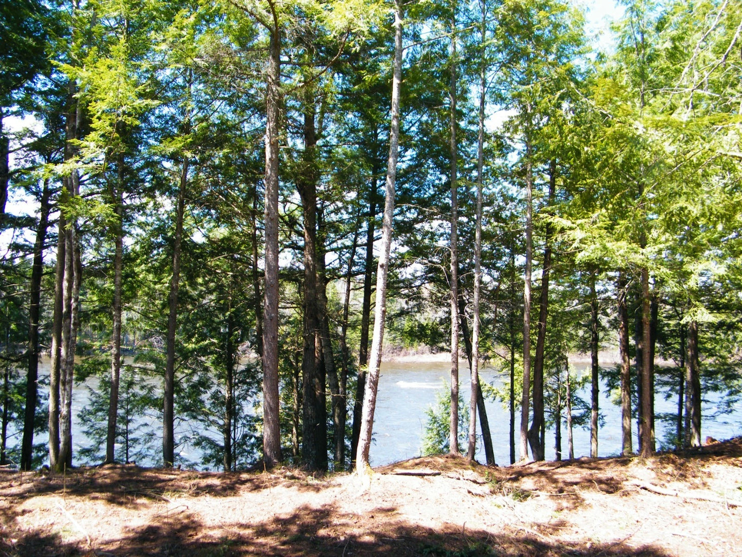$59,900 Maine water front 8.4 acres, land river, timber Owner financing
