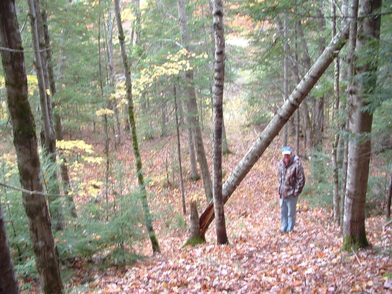 $59,900 Maine water front 8.4 acres, land river, timber Owner financing